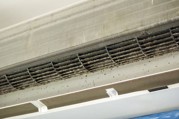 Best HVAC Duct Inspection Services  in Glen Burnie, MD