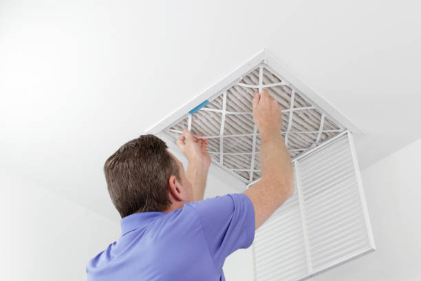 Best Air Duct Mold Removal  in Glen Burnie, MD